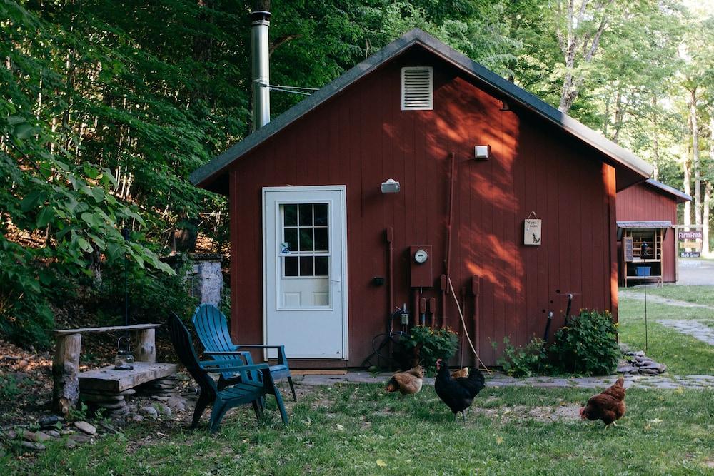 Wellnesste Lodge and Cabin Rentals photo 25