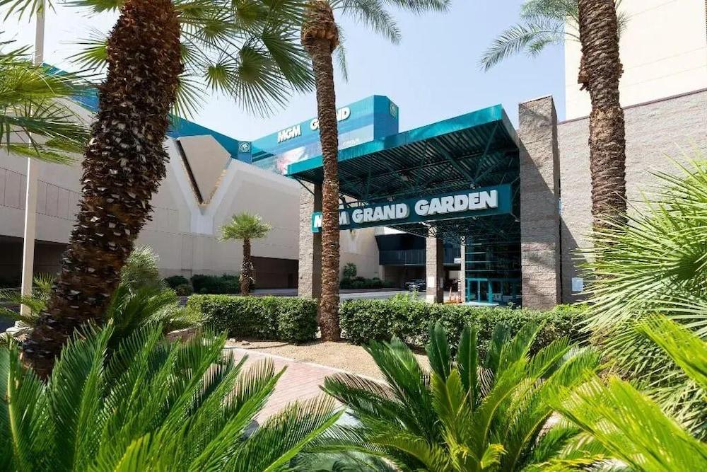 MGM Signature - Las Vegas photo 34