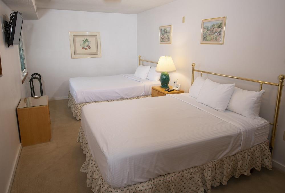 Mountain Lodge at Okemo, A Vail Resorts Property photo 3