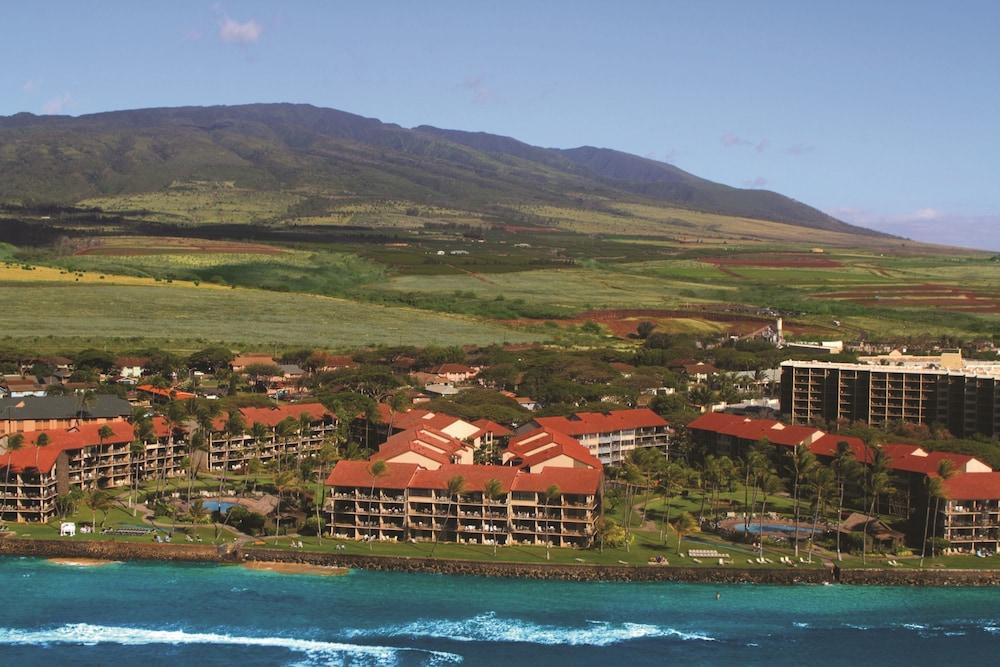 AEI at Papakea Resort Maui photo 1
