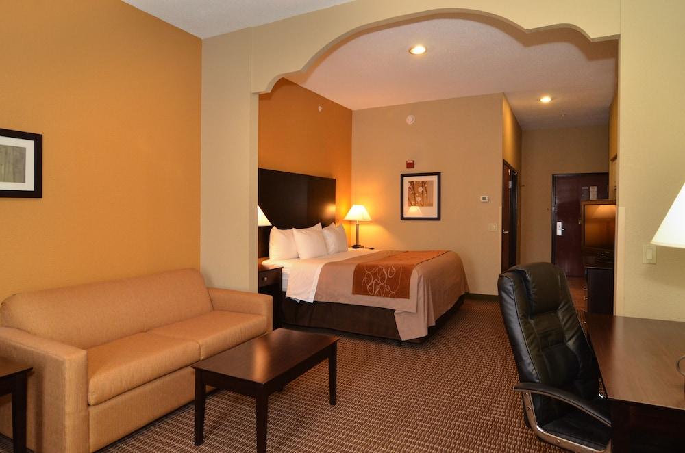 Comfort Inn & Suites Burnet photo 19