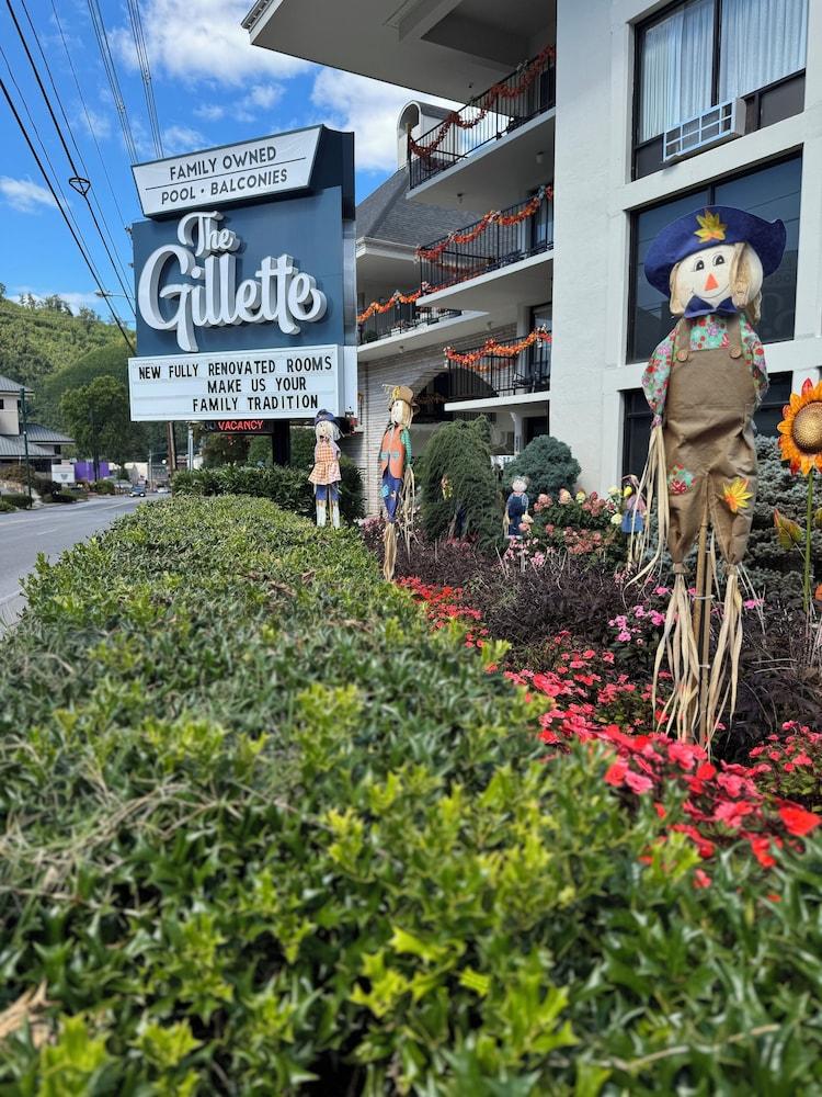 The Gillette photo 1