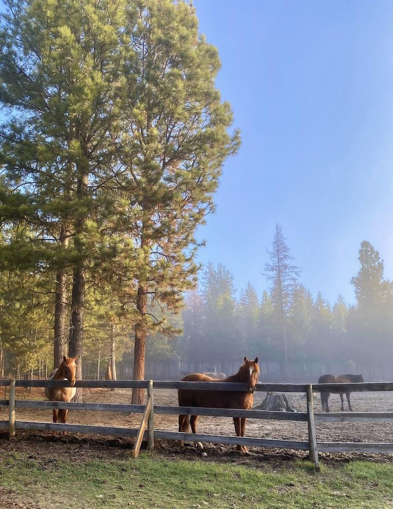 Dream Haven Guest Ranch photo 19