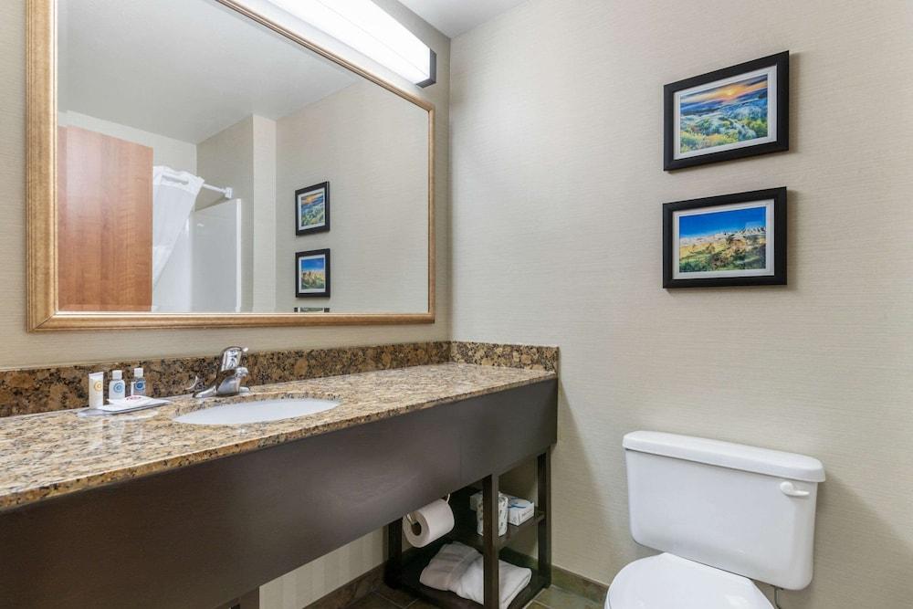 Comfort Inn & Suites Mitchell I-90 photo 10