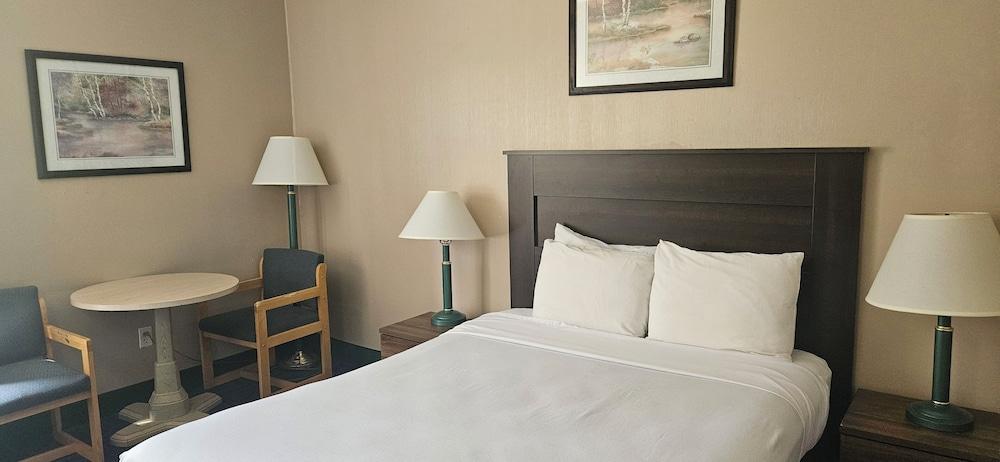Bellis Inn photo 19
