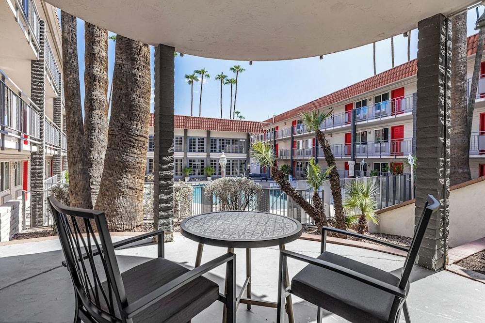 Tempe Oasis photo 1
