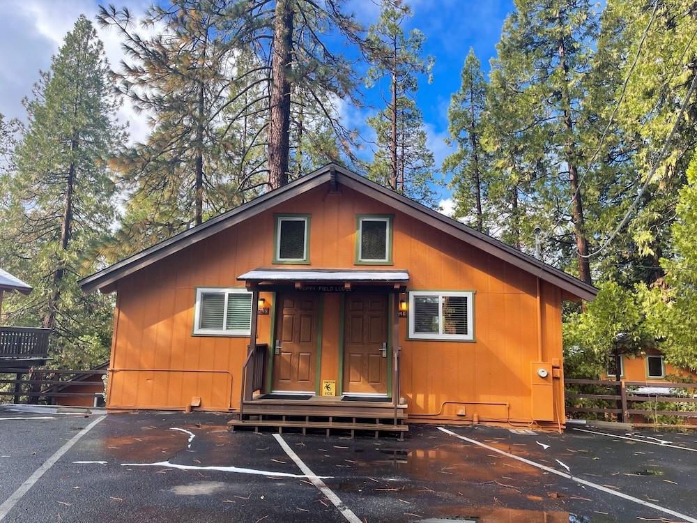 The Pines Resort photo 73
