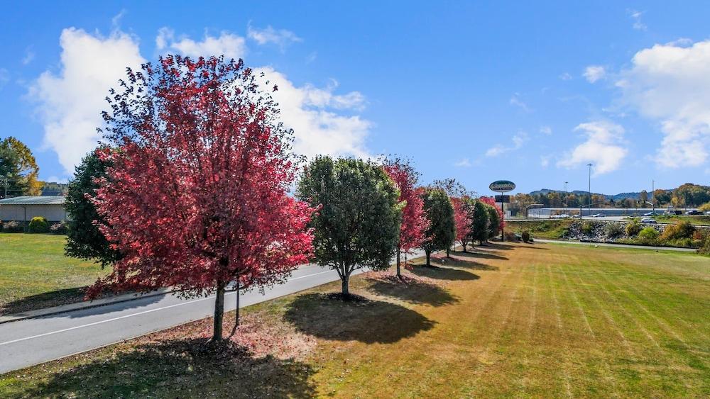 Mountain Inn & Suites photo 17