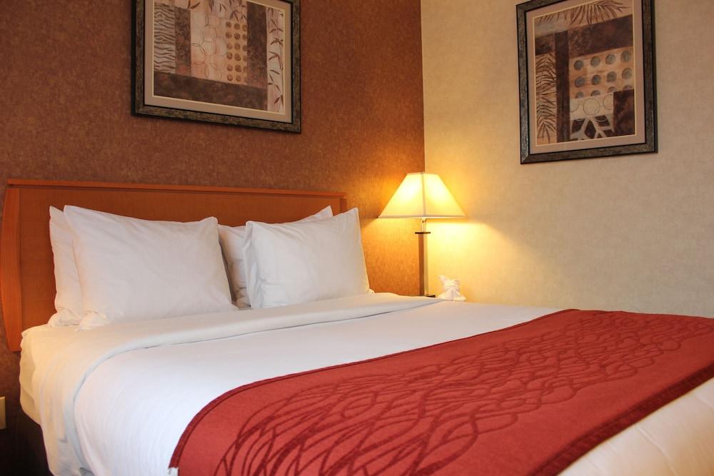 Bellerose Inn photo 13