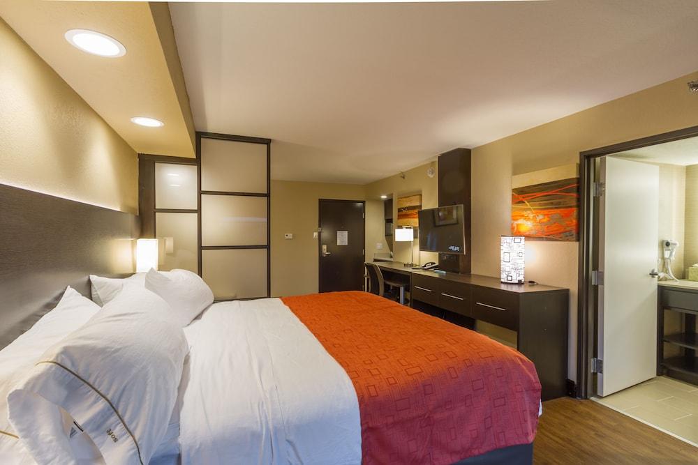 Holiday Inn Express & Suites San Antonio Medical-Six Flags by IHG photo 6