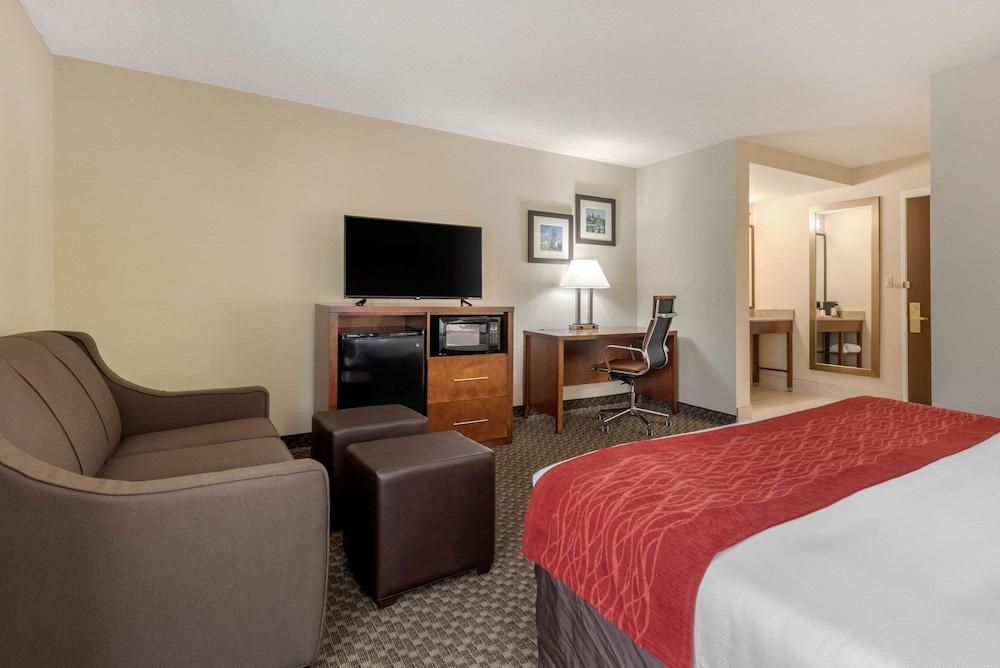 Comfort Inn Indianapolis South photo 17