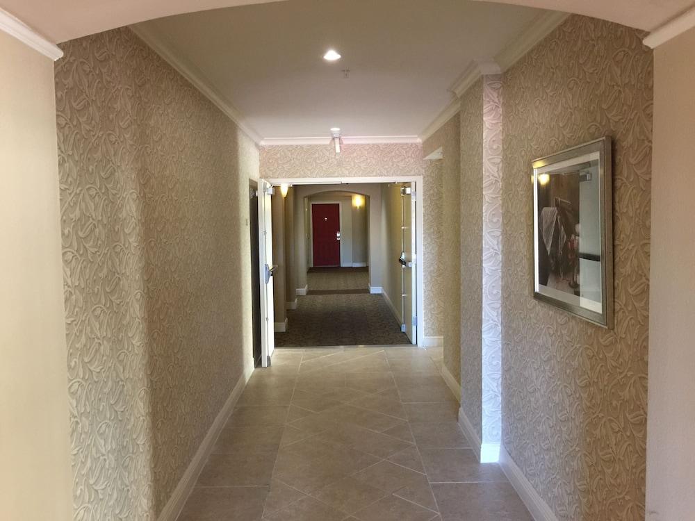 LYX Suites at Merrick Park in Coral Gables photo 59