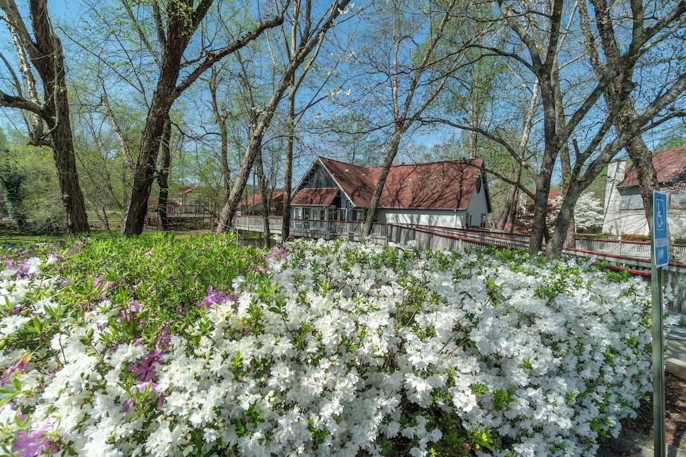 Loreley Resort photo 17