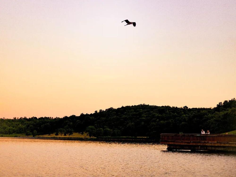 YMCA Trout Lodge photo 56