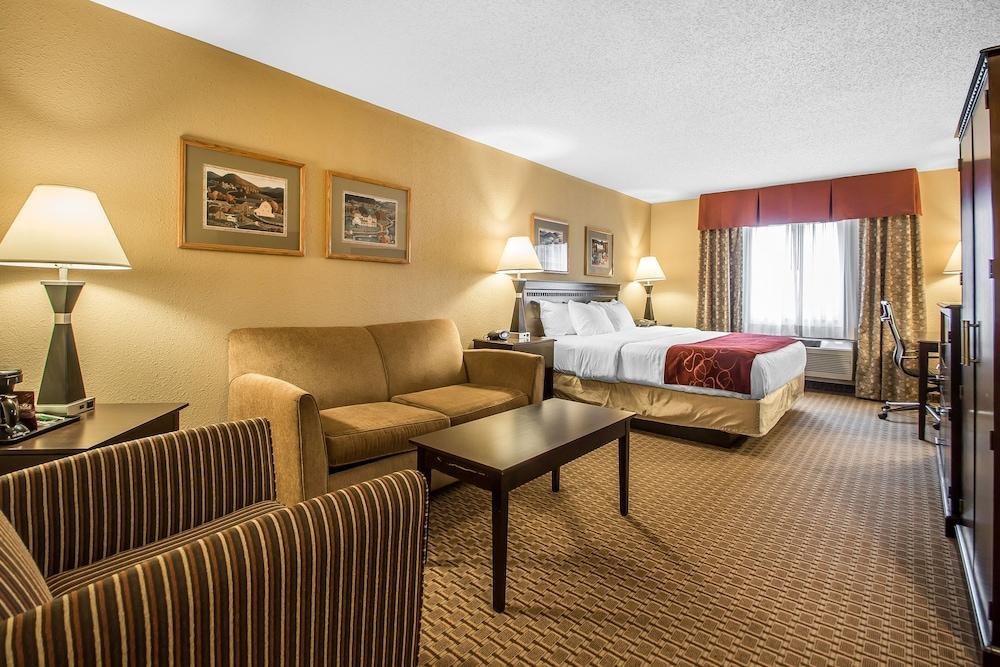 Comfort Suites Wisconsin Dells Area photo 17