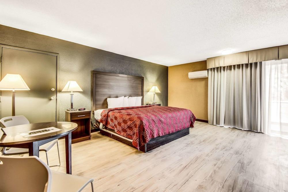 Econo Lodge Tampa near Busch Gardens photo 41
