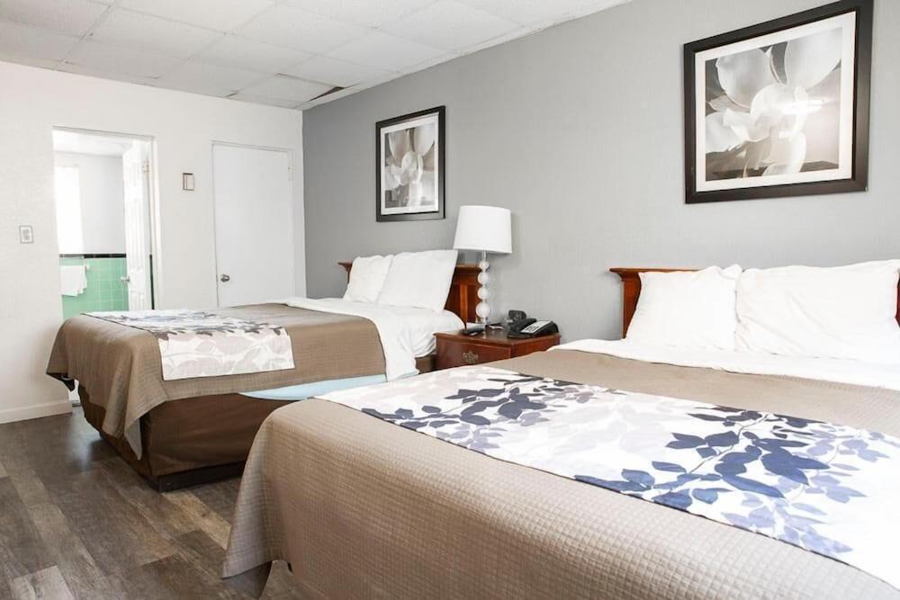Bedford Motel photo 37
