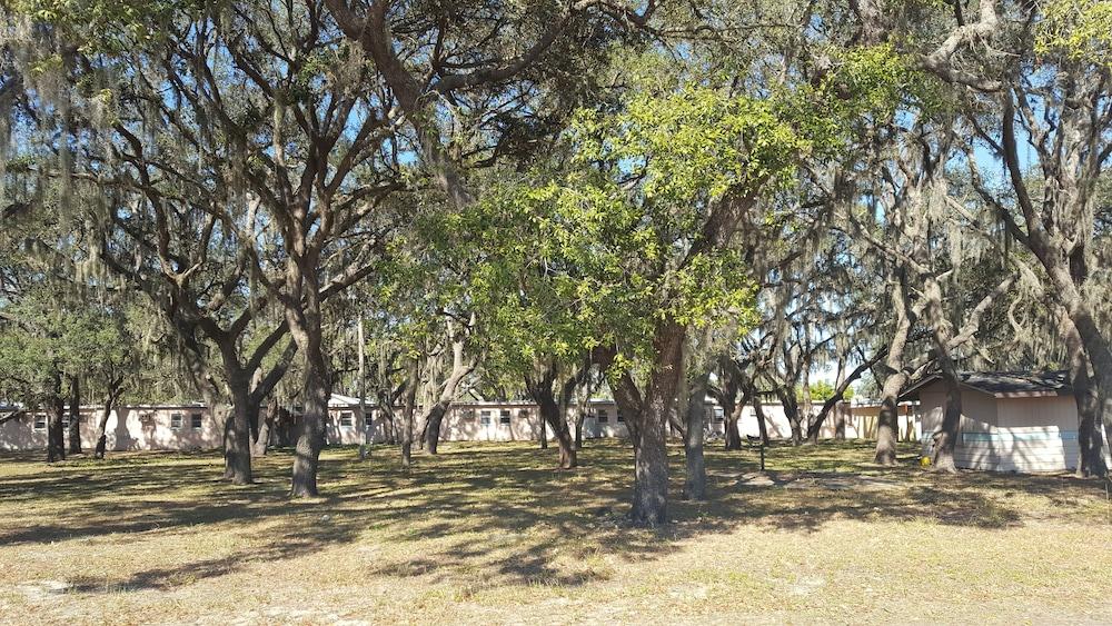 Oak Tree Inn photo 17