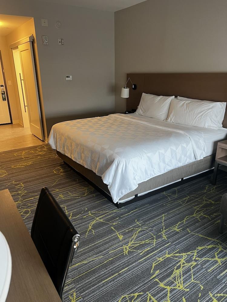 Holiday Inn & Suites Houston NW - Willowbrook by IHG photo 15