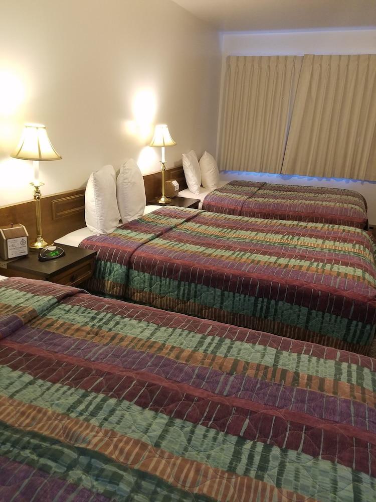Out West Motel photo 6