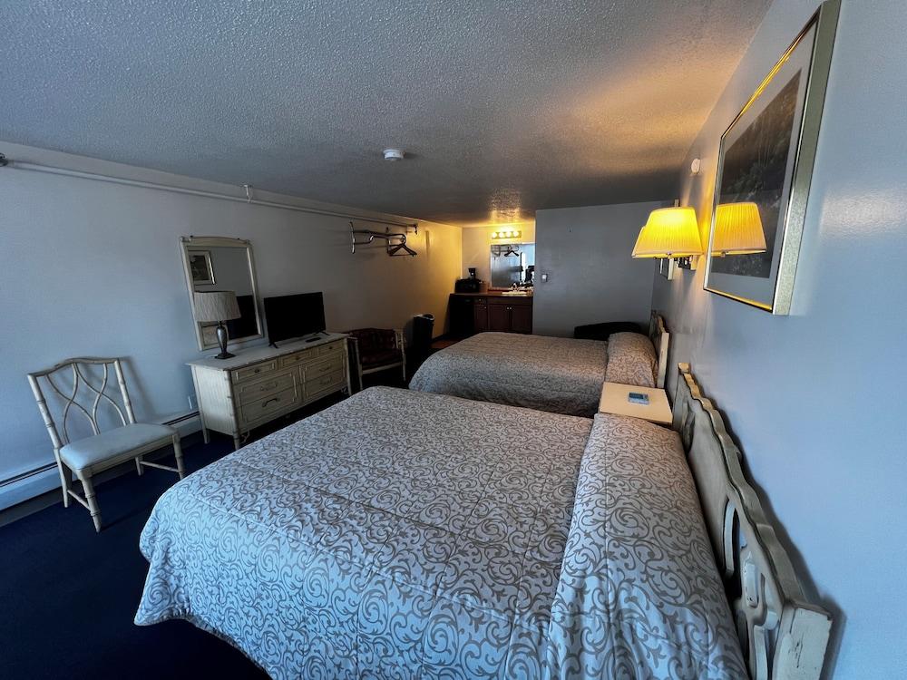 Green Dolphin Motel photo 17