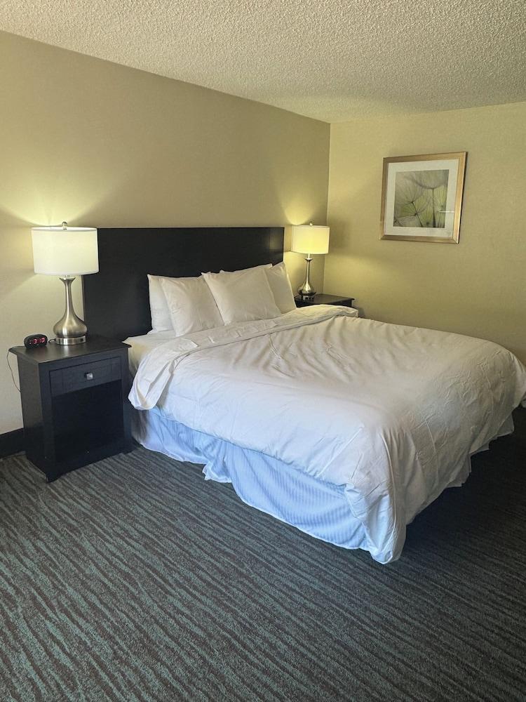 Hotel Francis photo 31
