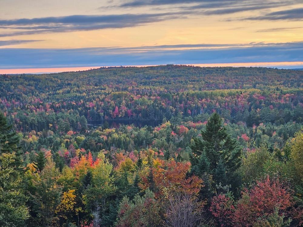 Bear Mountain Lodge photo 3