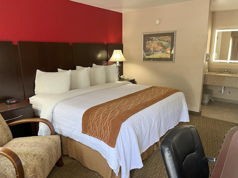 Pine Tree Inn photo 33