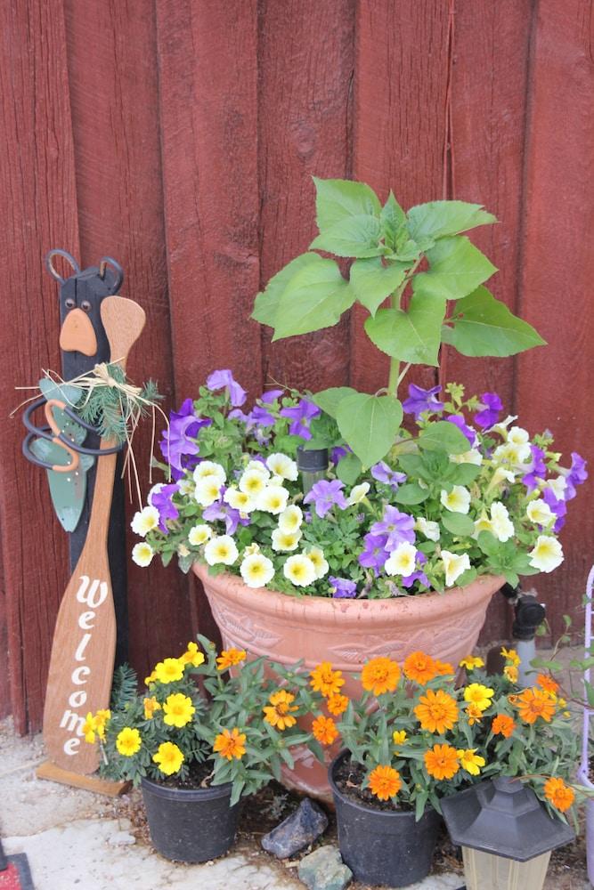 Black Bear Inn photo 37