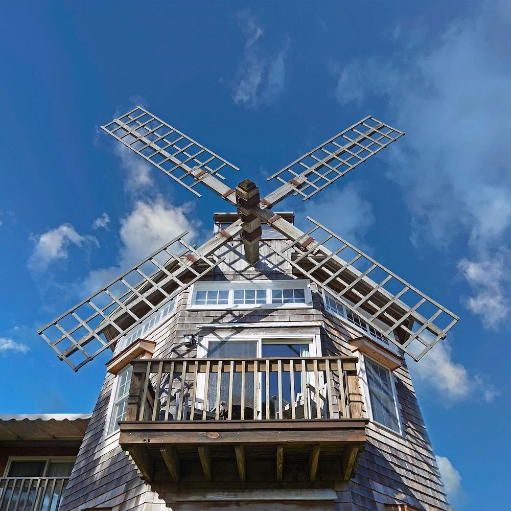 The Hampton Maid photo 84