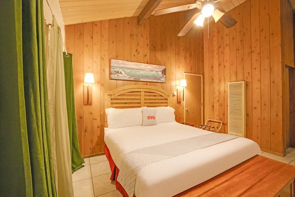 Arrowhead Tree Top Lodge photo 57