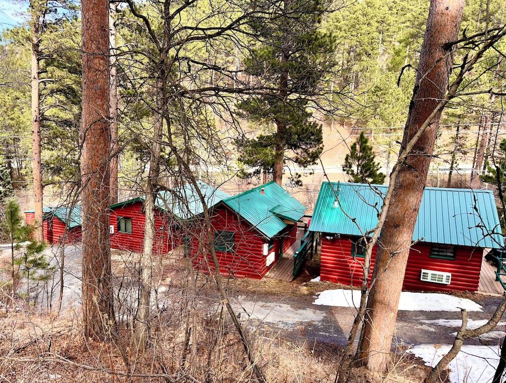 Ponderosa Pines photo 43