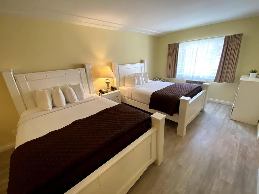 Hollywood Celebrity Hotel photo 14