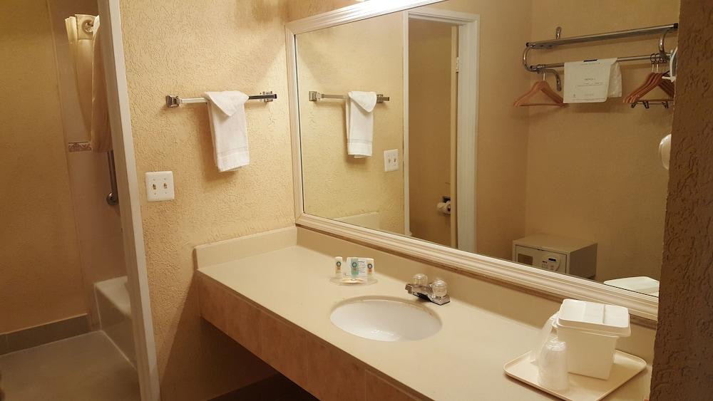 Econo Lodge Tampa near Busch Gardens photo 14