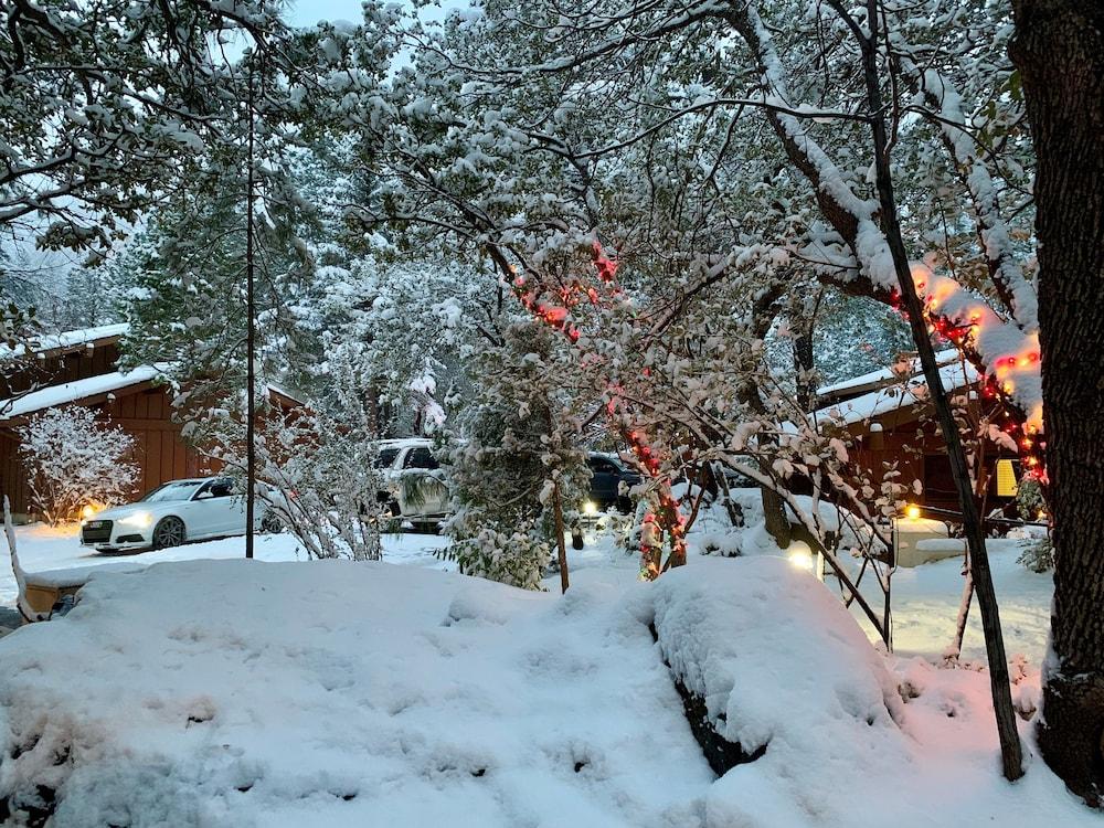 Junipine Resort photo 21
