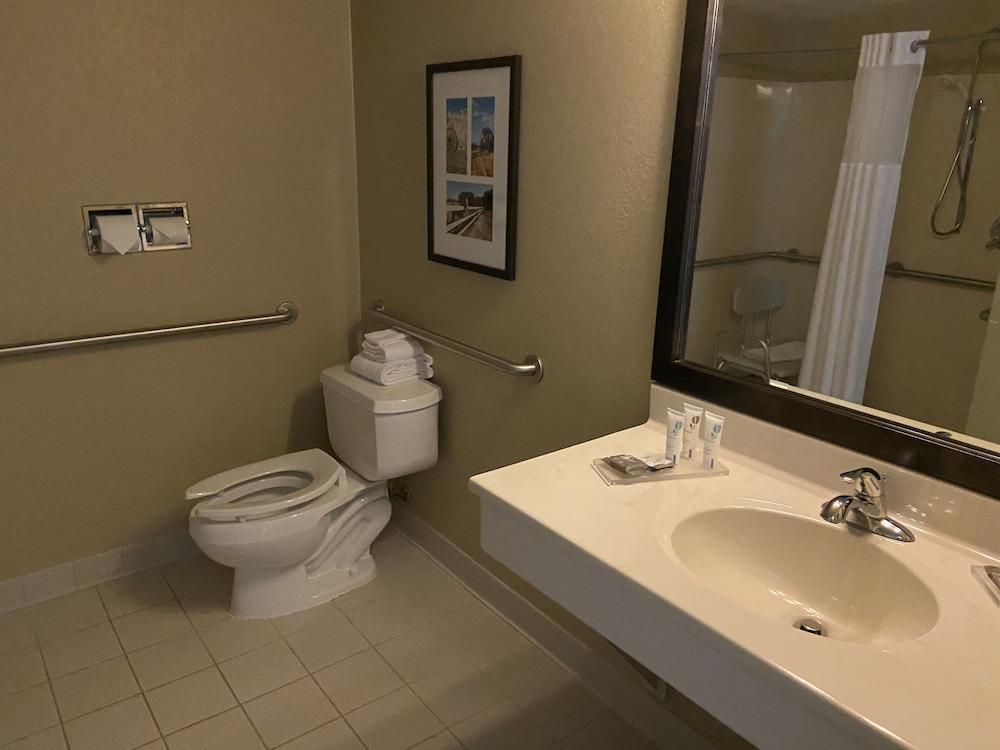 Country Inn & Suites by Radisson, Dundee, MI photo 15