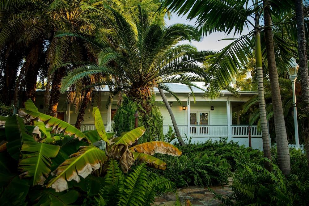 The Caribbean Resort photo 57