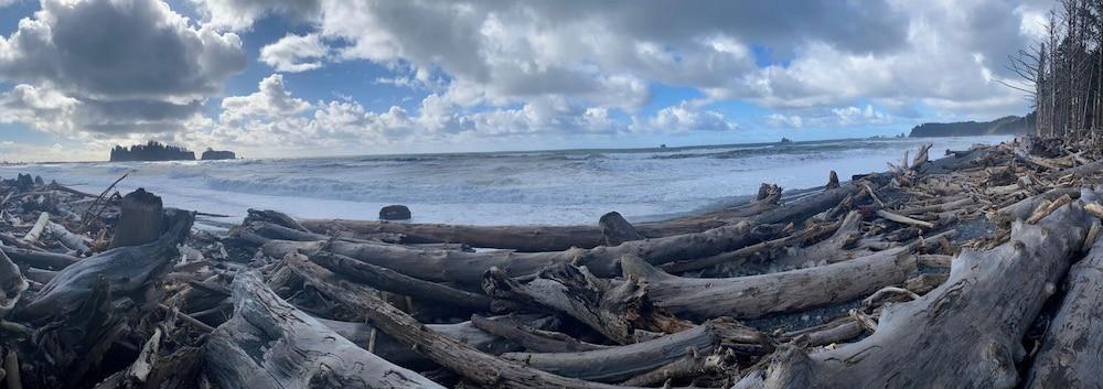 Quileute Oceanside Resort photo 30