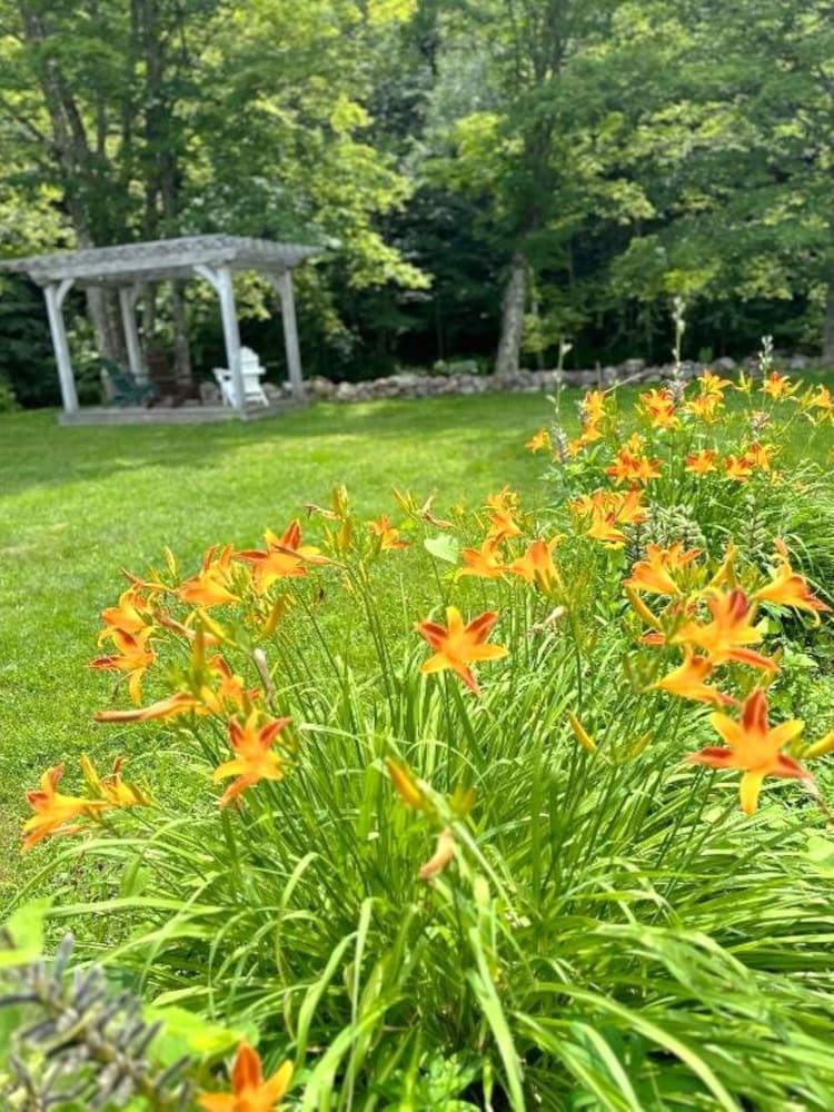 Sugar Maple Inn photo 38