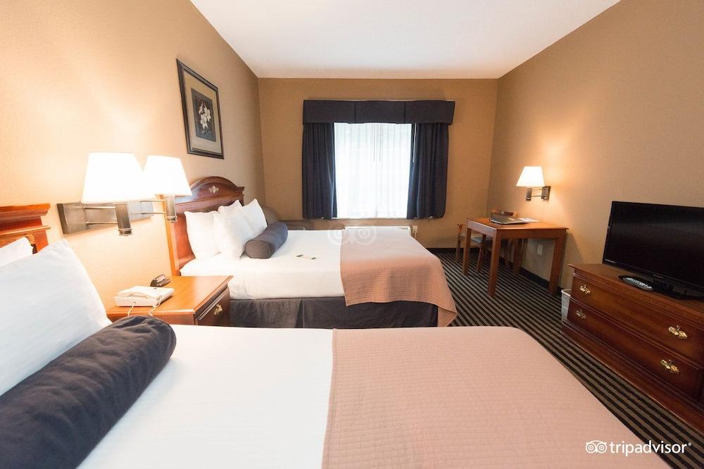 Mountain Inn & Suites photo 20