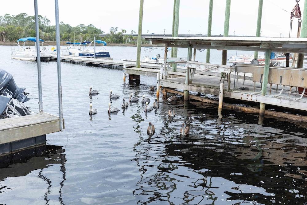 Steinhatchee River Inn photo 42