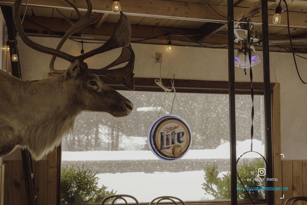 The Balsam Inn photo 20