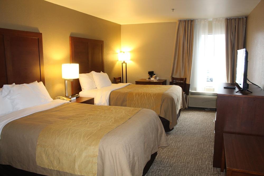 Bristol Arcadia Inn photo 15