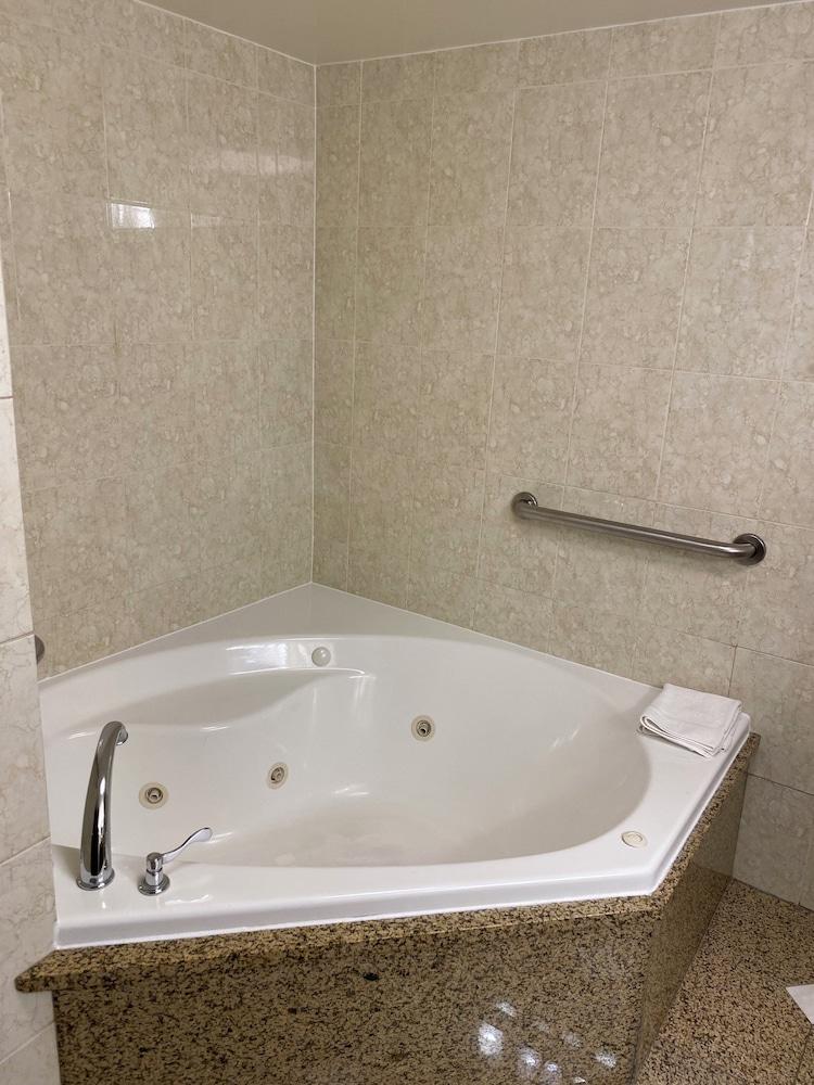 Hotel Indigo Detroit North – Troy by IHG photo 45