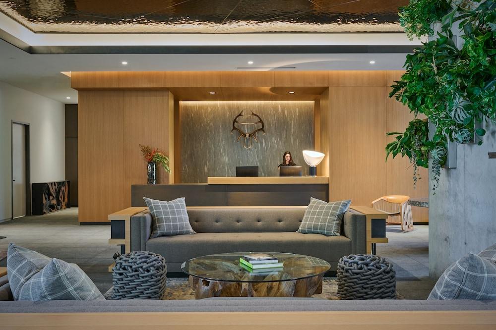 The Loren Hotel Austin photo 4