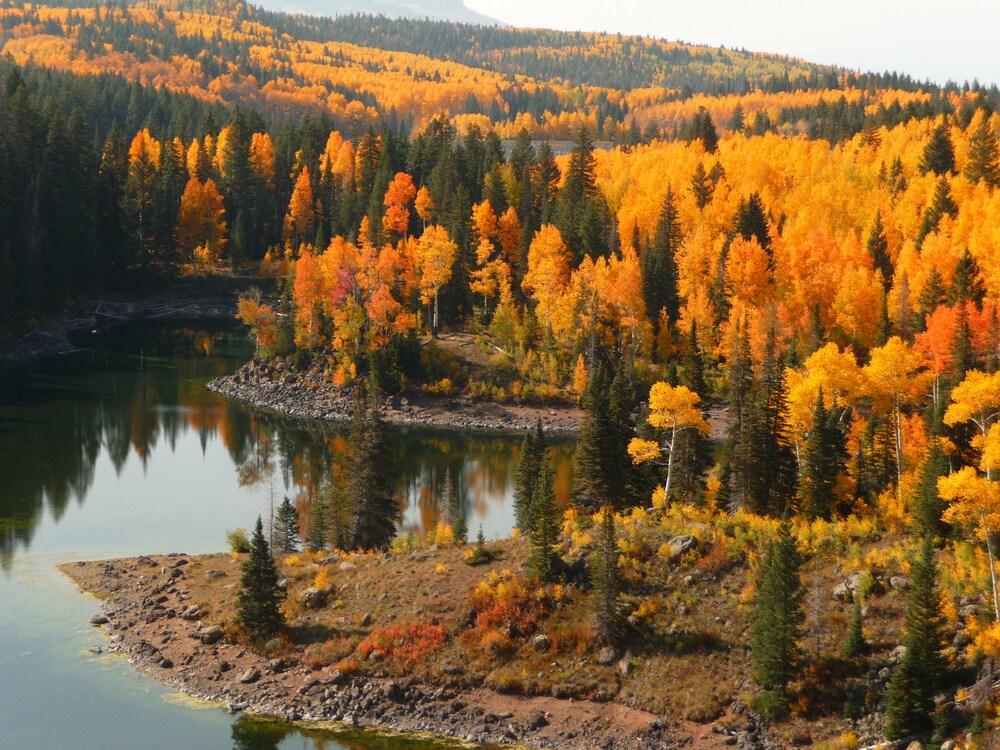 Grand Mesa Lodge photo 95