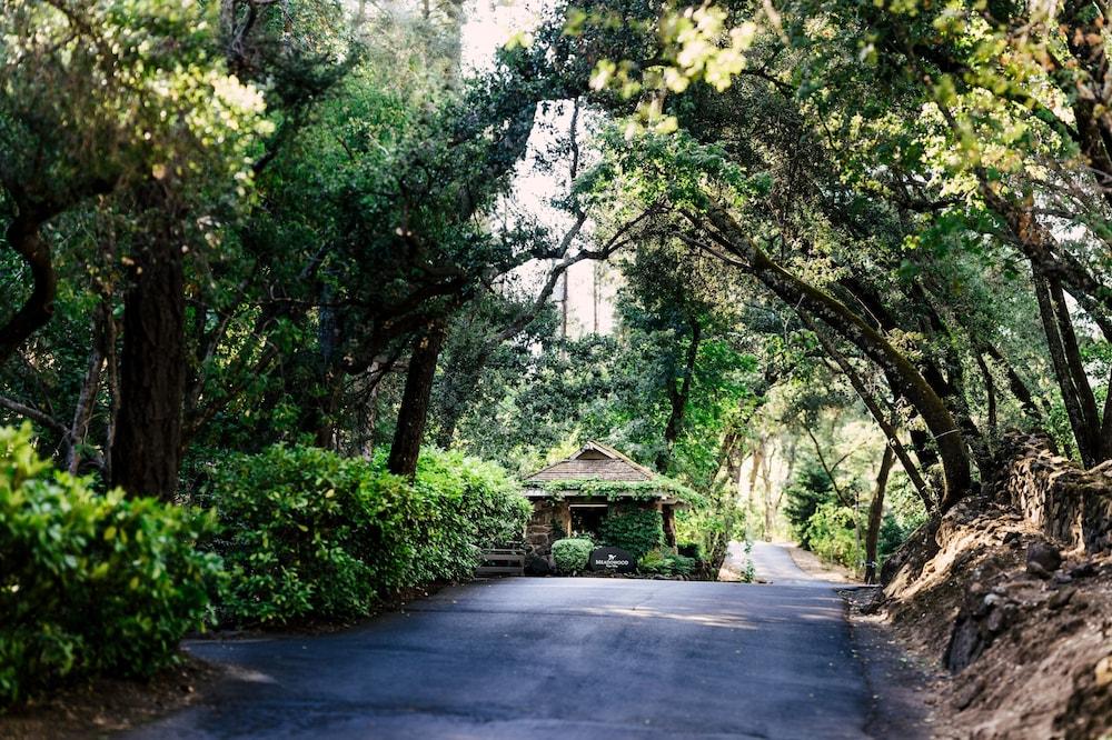 Meadowood Napa Valley photo 41