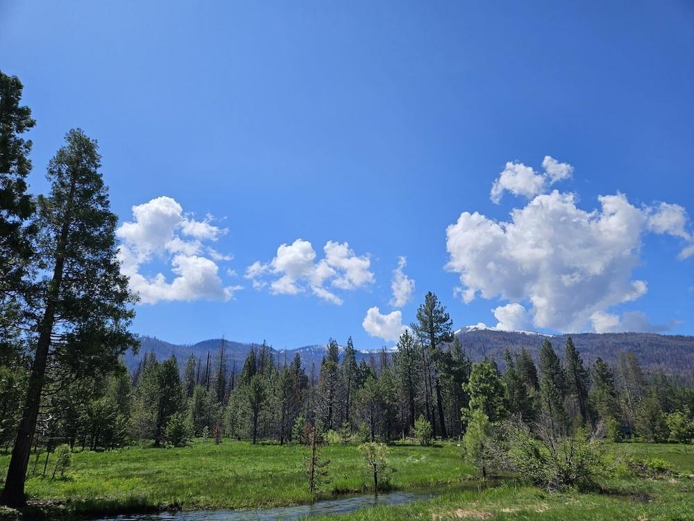 The Black Forest Lodge photo 18