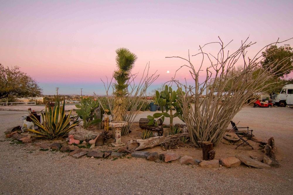 Joshua Tree Ranch House photo 32