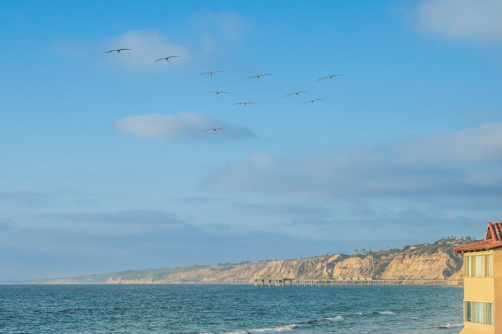 La Jolla Beach and Tennis Club photo 17